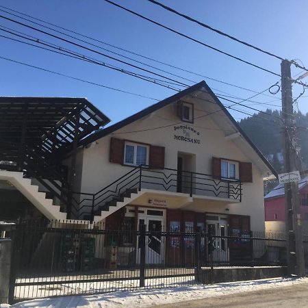 Pensiunea Morosanu Borşa Exteriér fotografie