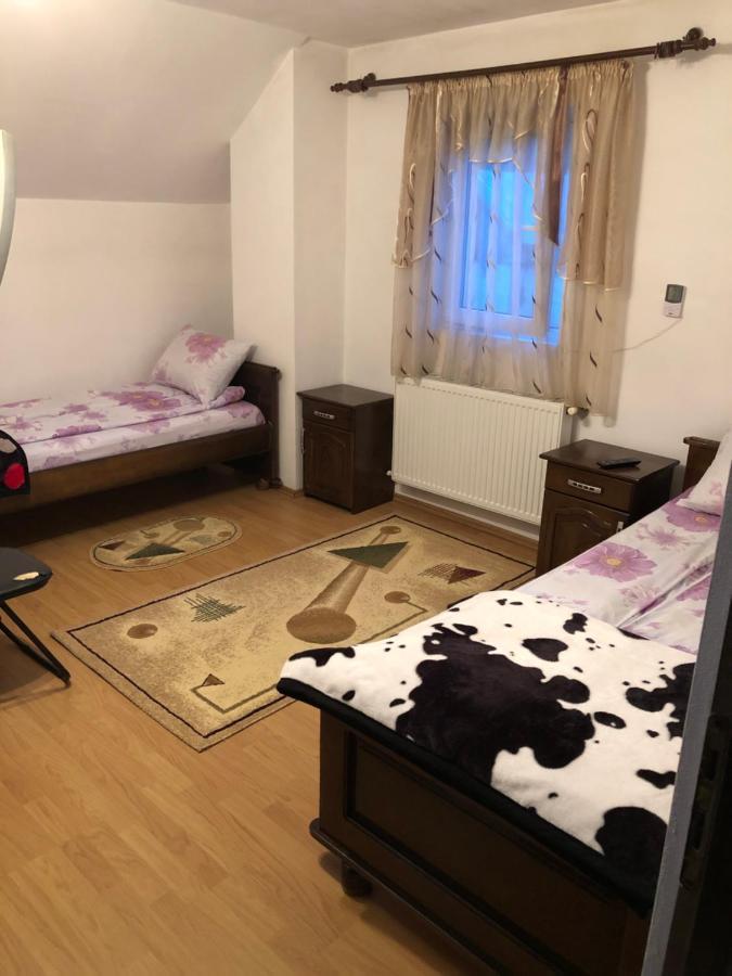 Pensiunea Morosanu Borşa Exteriér fotografie