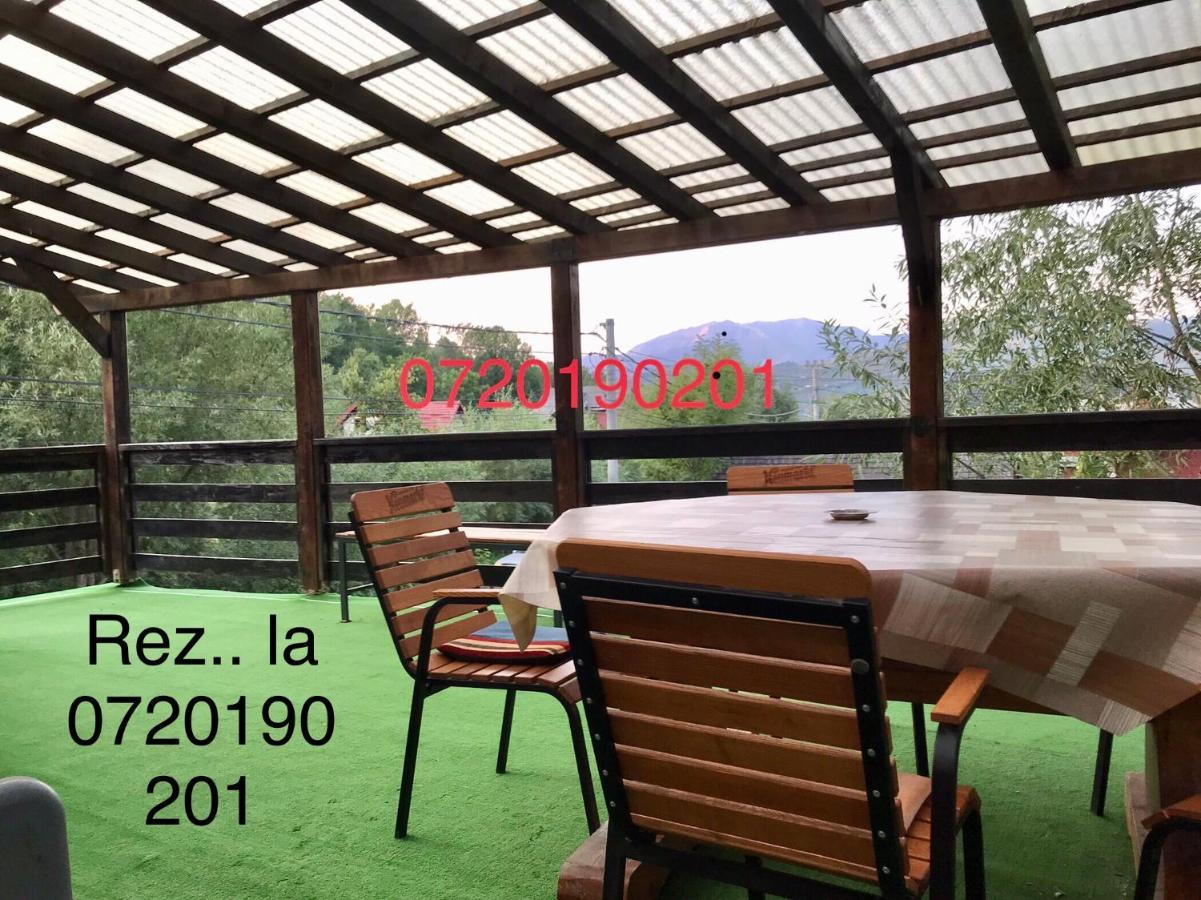 Pensiunea Morosanu Borşa Exteriér fotografie