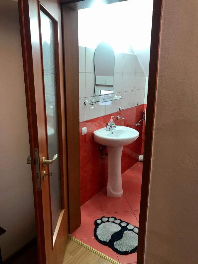 Pensiunea Morosanu Borşa Exteriér fotografie