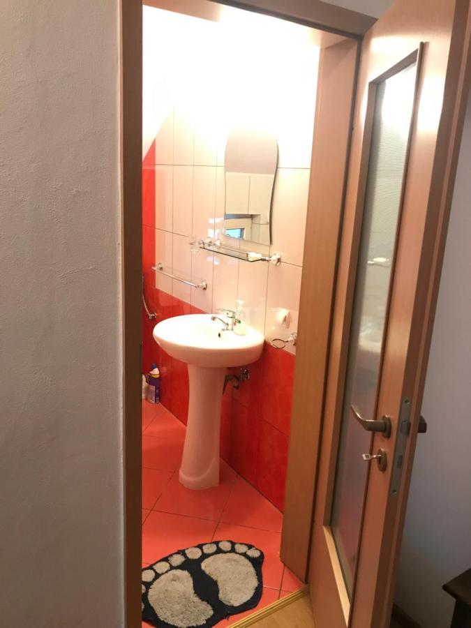 Pensiunea Morosanu Borşa Exteriér fotografie