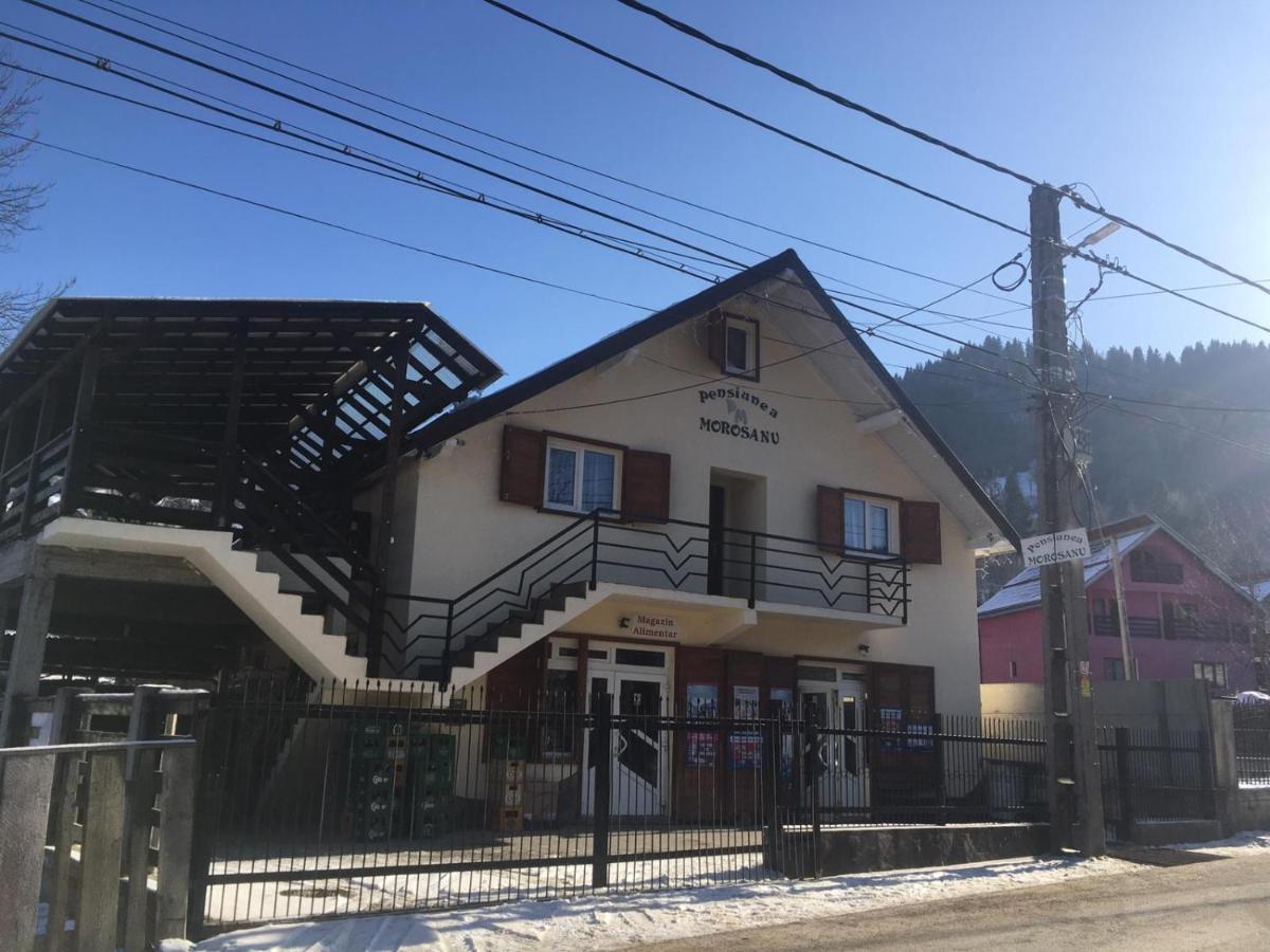 Pensiunea Morosanu Borşa Exteriér fotografie